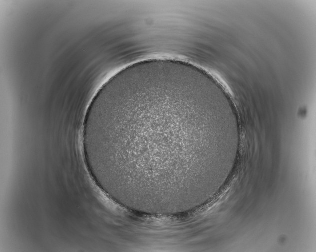 X0000099510895200805221419