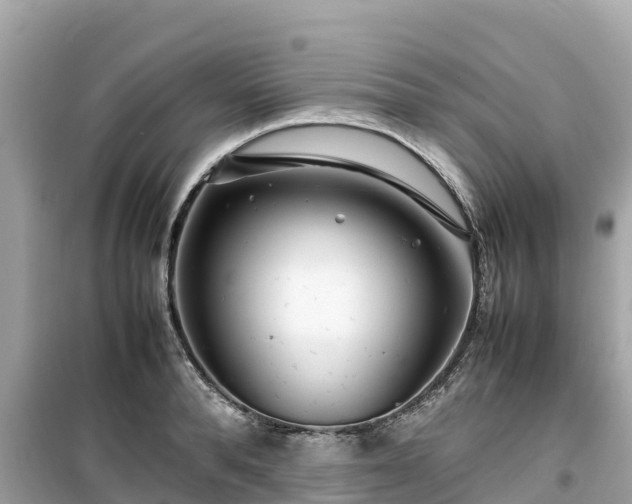 X0000099510896200805221419