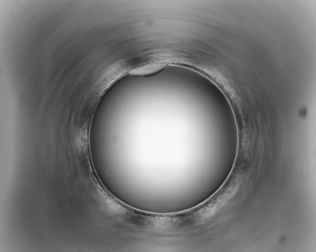 X0000099510897200805221419