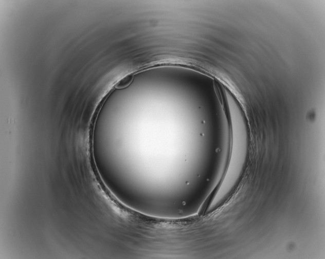 X0000099510898200805221419