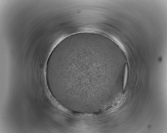 X0000099510899200805221419