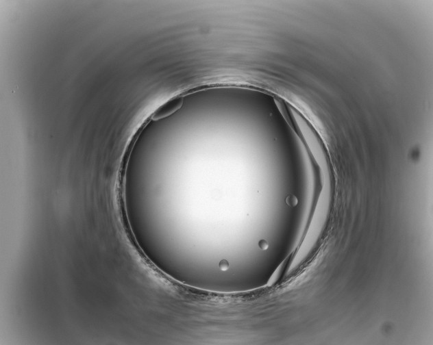 X0000099510901200805221419