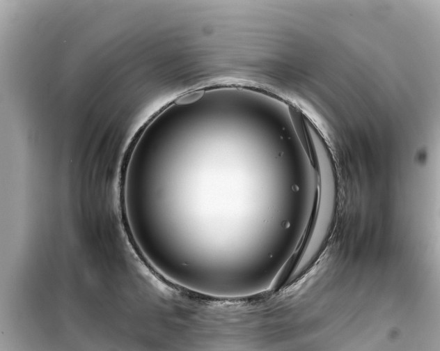 X0000099510902200805221419