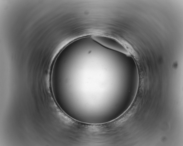 X0000099510904200805221419