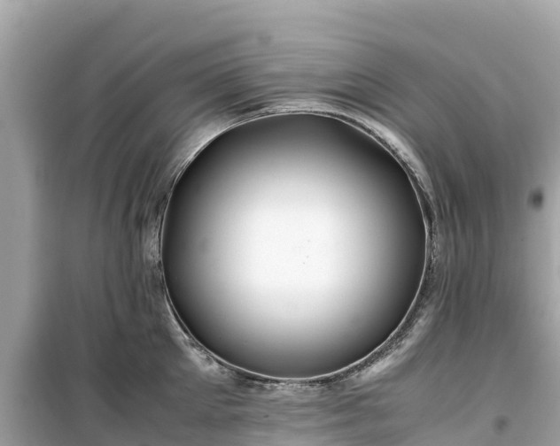 X0000099510905200805221419