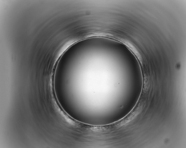 X0000099510906200805221419