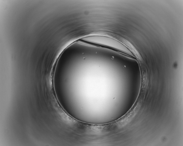 X0000099510908200805221419