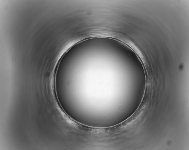 X0000099510909200805221419