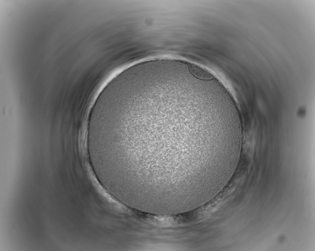 X0000099510911200805221419