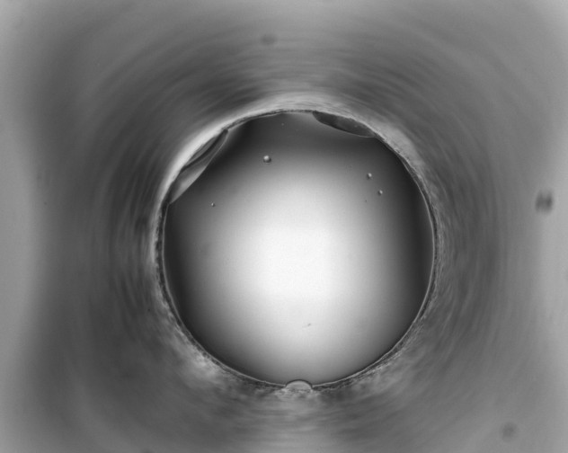 X0000099510912200805221419