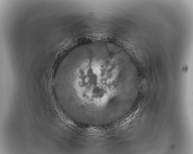 X0000099510913200805221418
