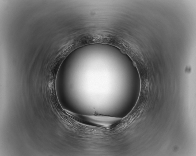 X0000099510914200805221418
