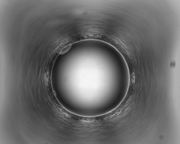 X0000099510915200805221418