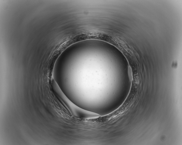 X0000099510916200805221418
