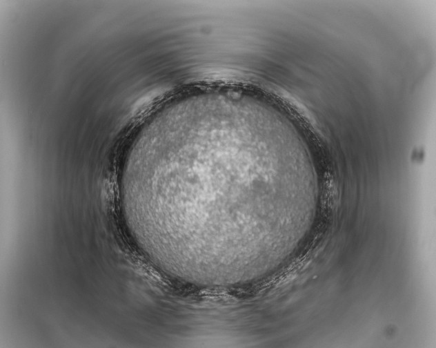 X0000099510918200805221418