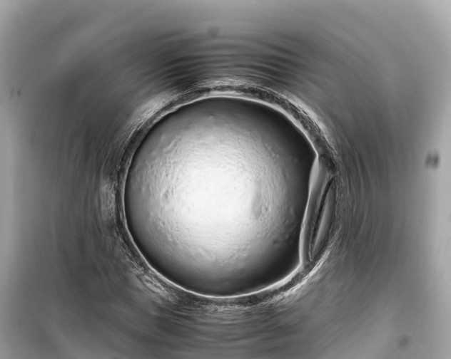 X0000099510921200805221418
