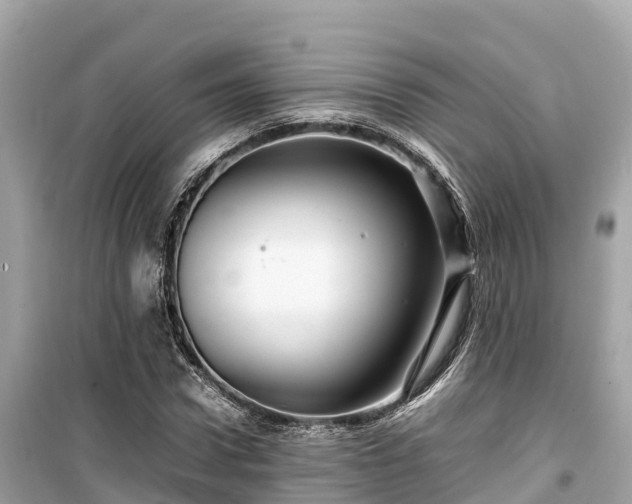 X0000099510922200805221418