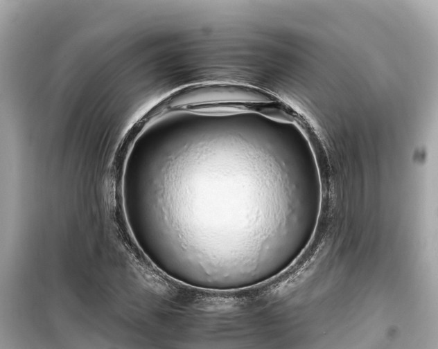 X0000099510925200805221419