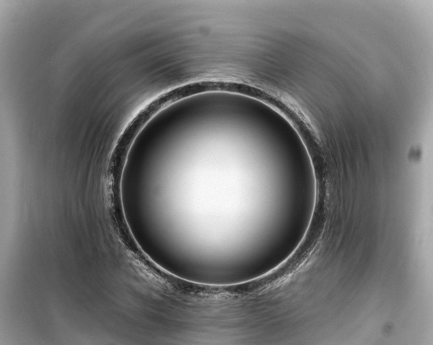 X0000099510926200805221419