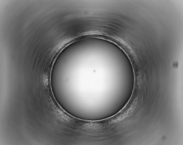 X0000099510929200805221419