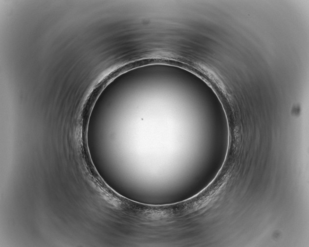 X0000099510931200805221419