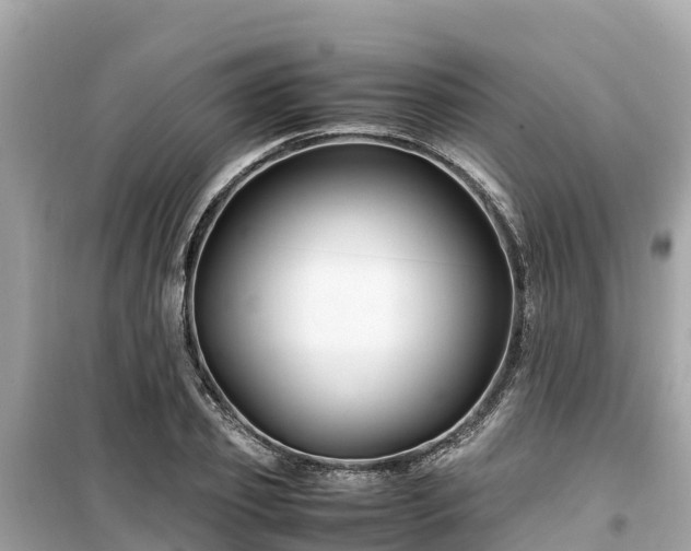X0000099510933200805221419