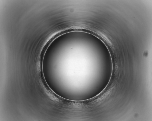X0000099510934200805221419
