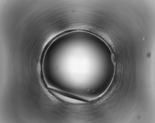 X0000099510936200805221419