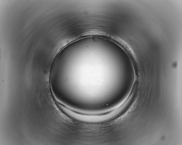 X0000099510937200805221419