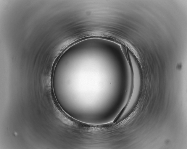 X0000099510938200805221419