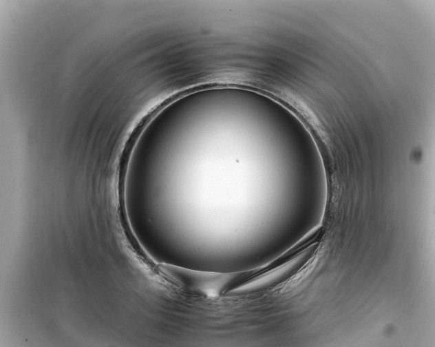 X0000099510939200805221419