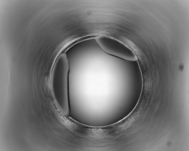 X0000099510940200805221419