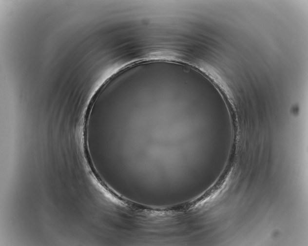 X0000099510941200805221419