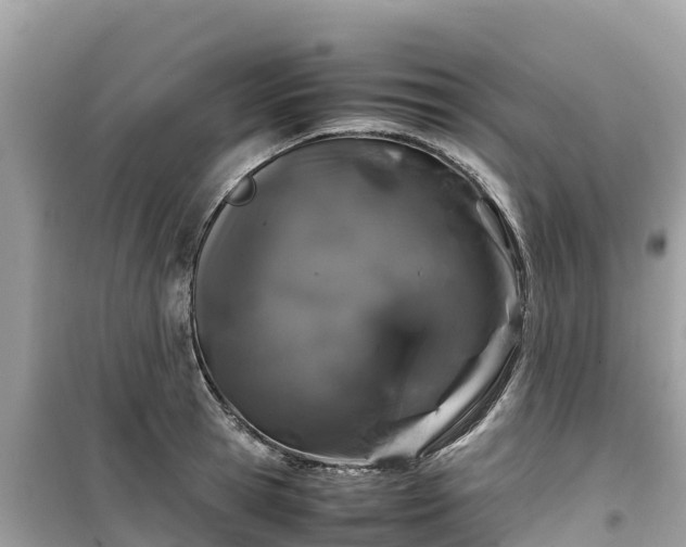 X0000099510945200805221419