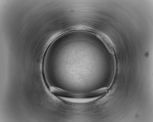 X0000099510946200805221419