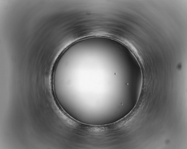 X0000099510947200805221419