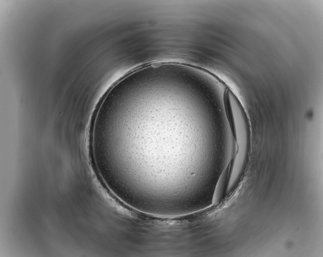 X0000099510949200805221419