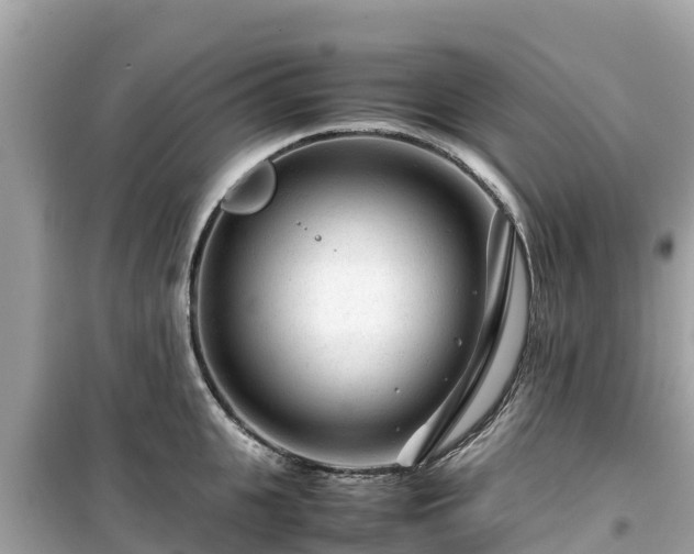 X0000099510951200805221419