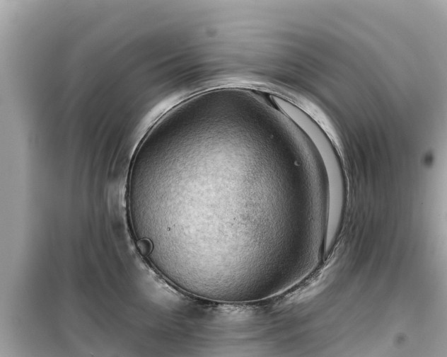 X0000099510954200805221419