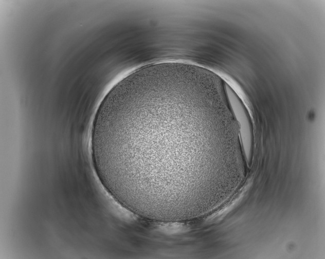 X0000099510957200805221419