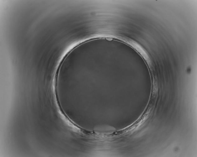 X0000099510958200805221419