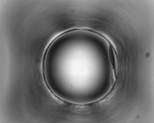 X0000099510959200805221419