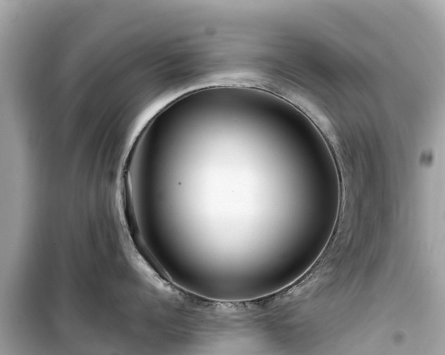 X0000099510960200805221419