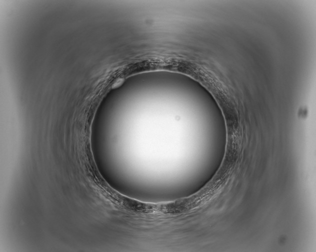 X0000099510961200805221418