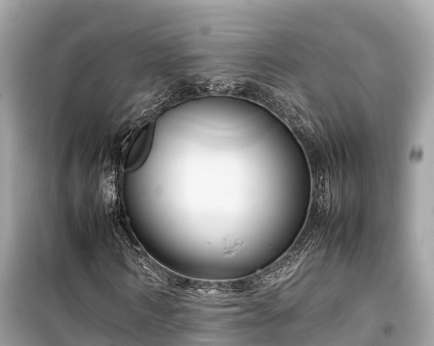 X0000099510962200805221418