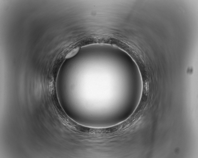 X0000099510963200805221418
