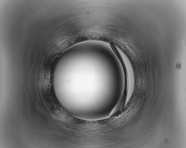 X0000099510964200805221418