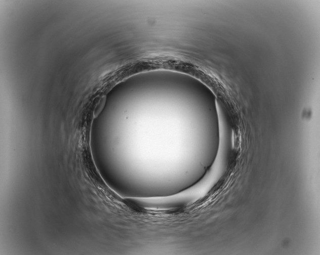 X0000099510965200805221418