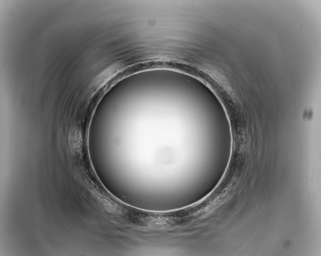 X0000099510969200805221418