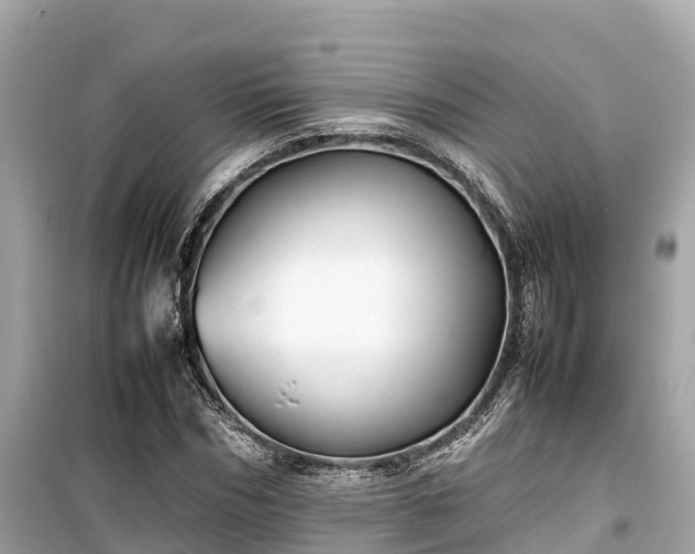 X0000099510970200805221418